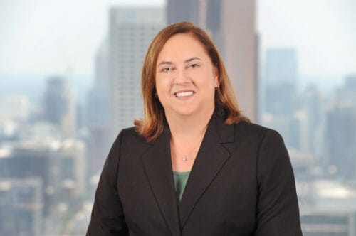 M. Ann McElroy